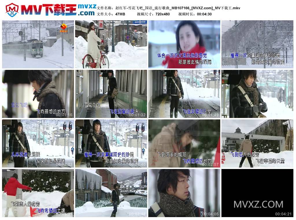 赵红军-雪花飞吧_国语_流行歌曲_MB107166